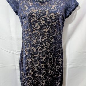 Bisou Bisou Navy and Beige Lace Dress